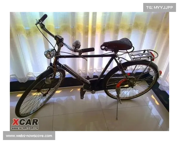 老牌自行车焕发新活力永久凤凰以创新设计赢得年轻人青睐